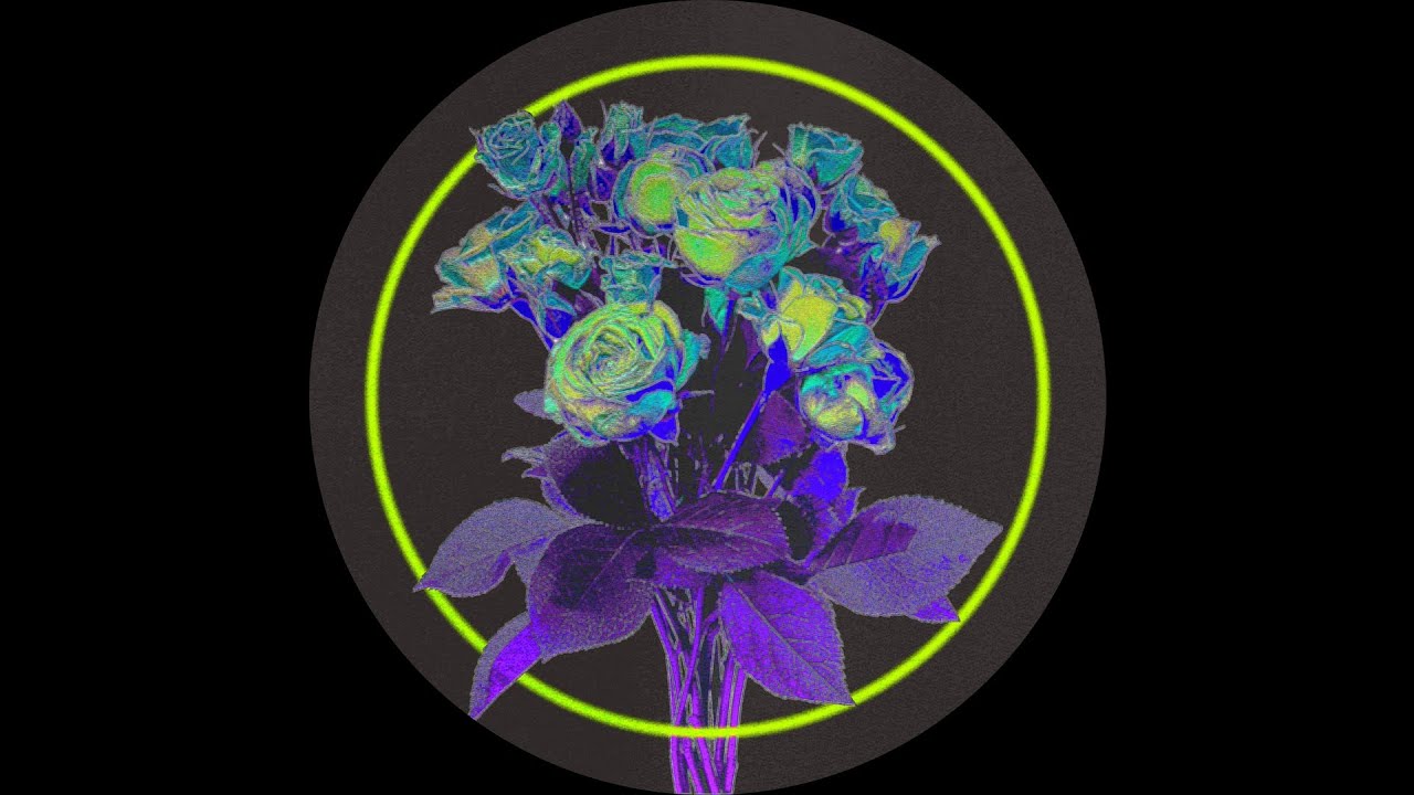 Baltra - Dreaming of a Disco