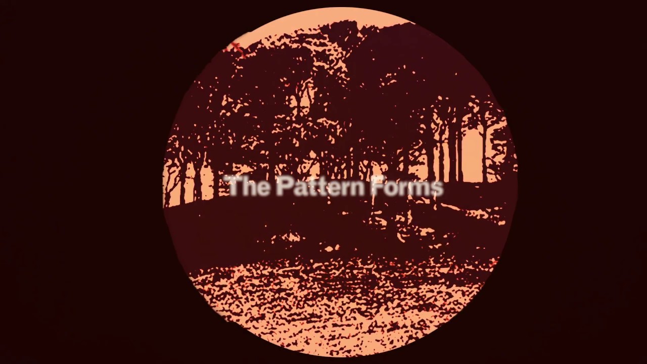 Peel Away the Ivy by The Pattern Forms