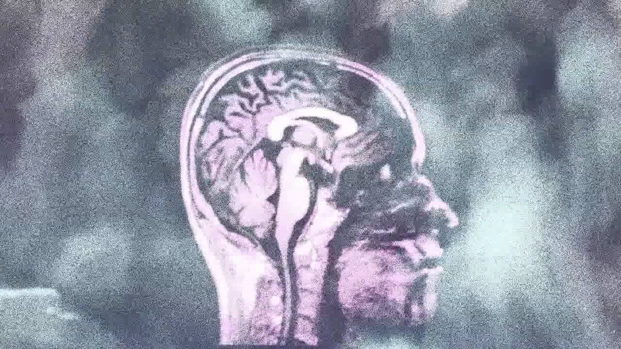 The Cyclist - Daisy Spirals (Flourish LP)