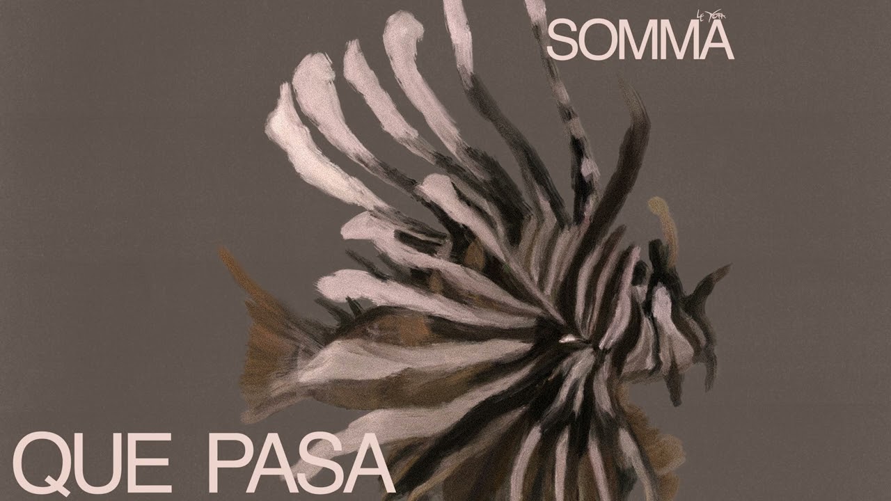 SOMMA - Que Pasa