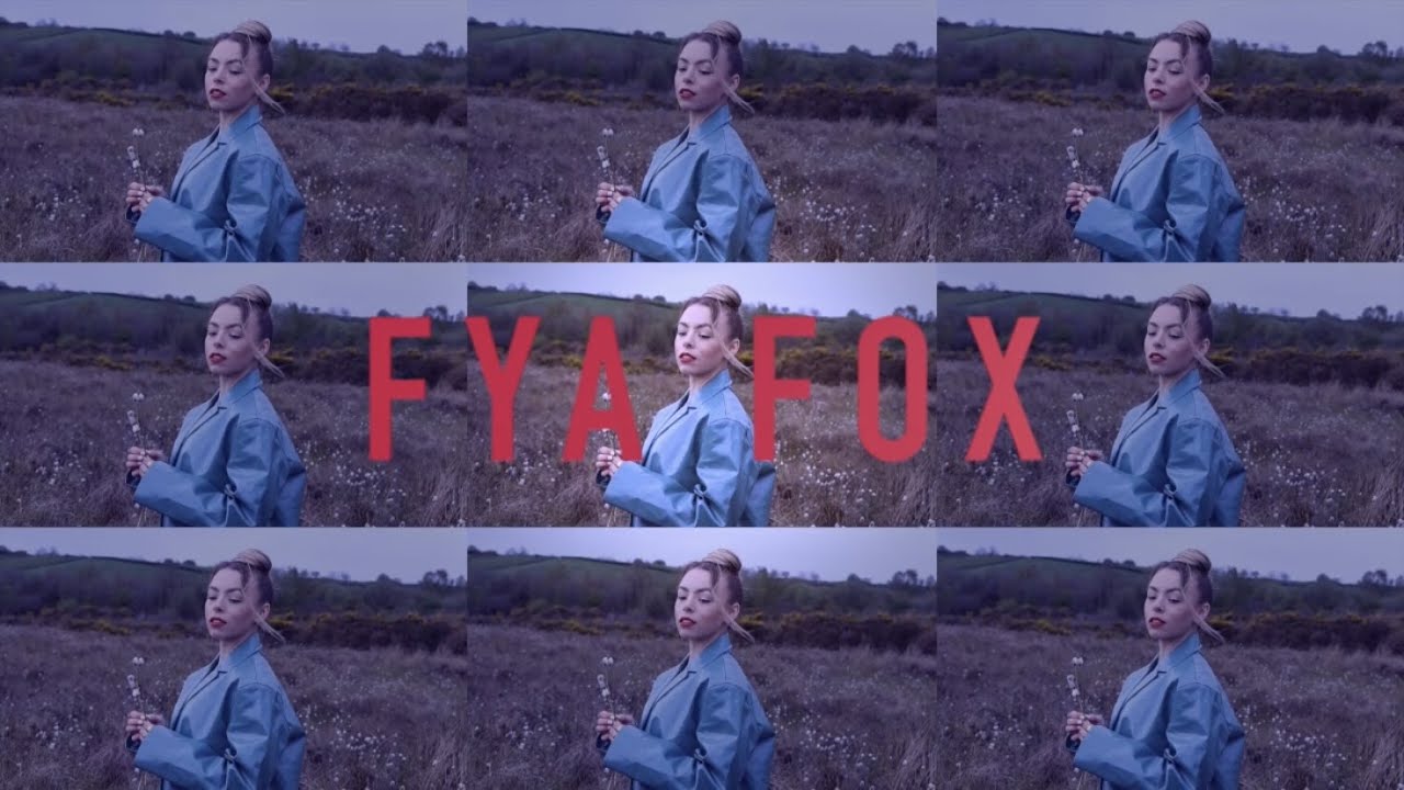 FYA FOX - SUNSET