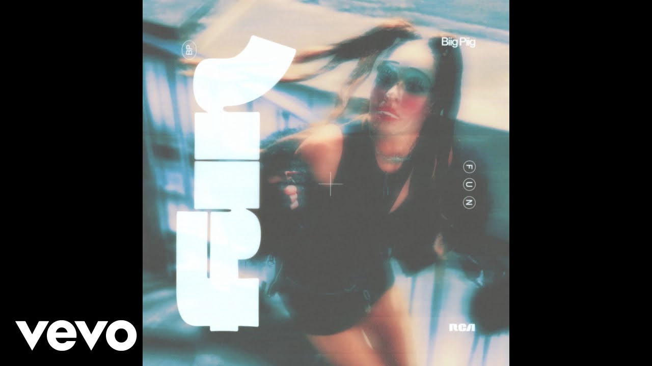 Biig Piig - FUN (Audio)