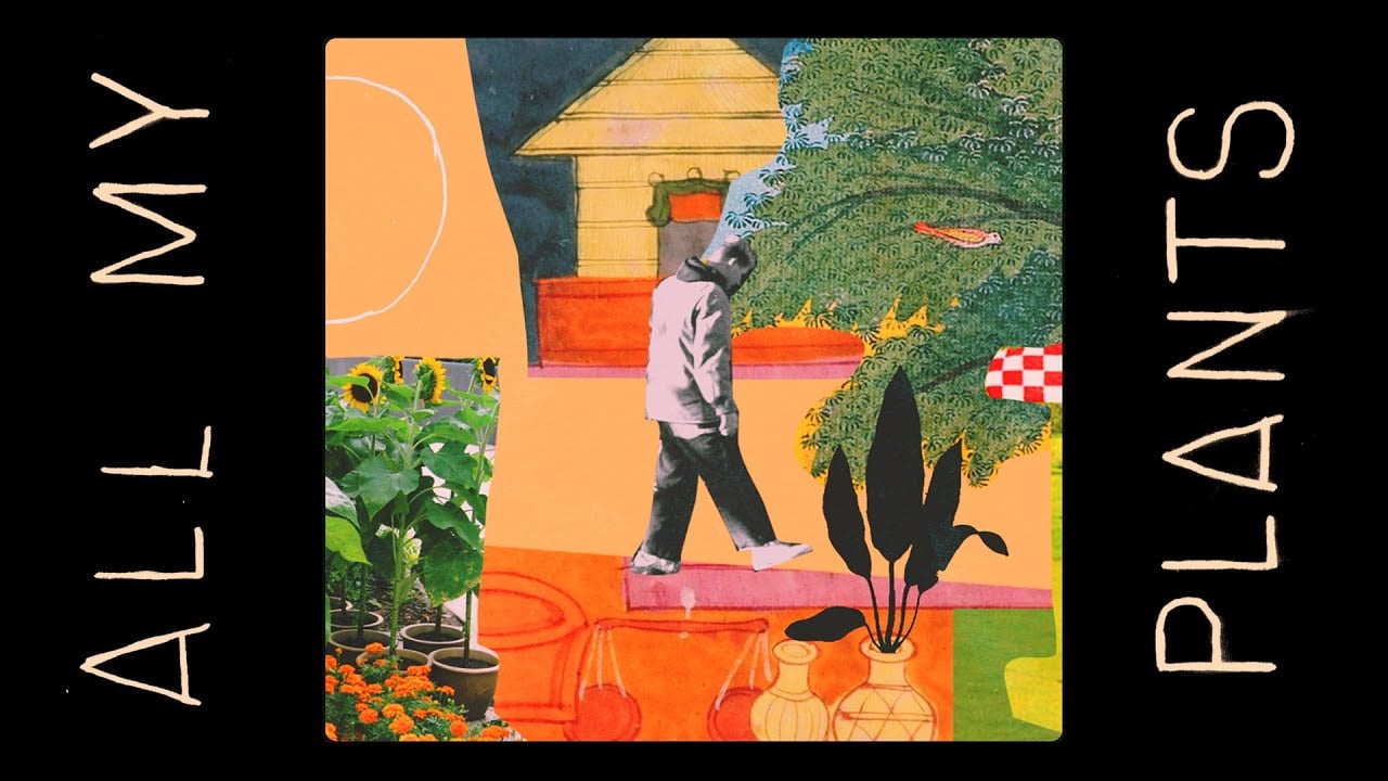 Jossle - All My Plants