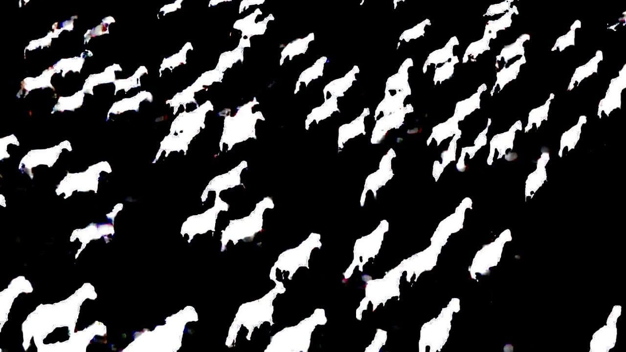 Low - White Horses (Official Video)