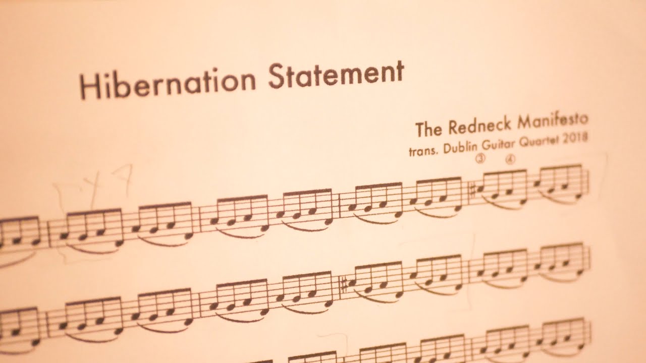 Dublin Guitar Quartet - 'Hibernation Statement' by The Redneck Manifesto
