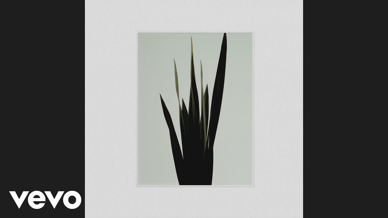 Wet - Weak (Audio)