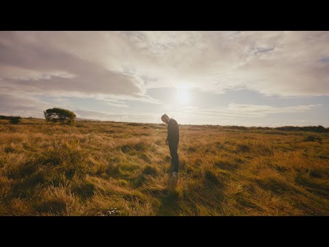 Nealo - Forest Feat. Morgana