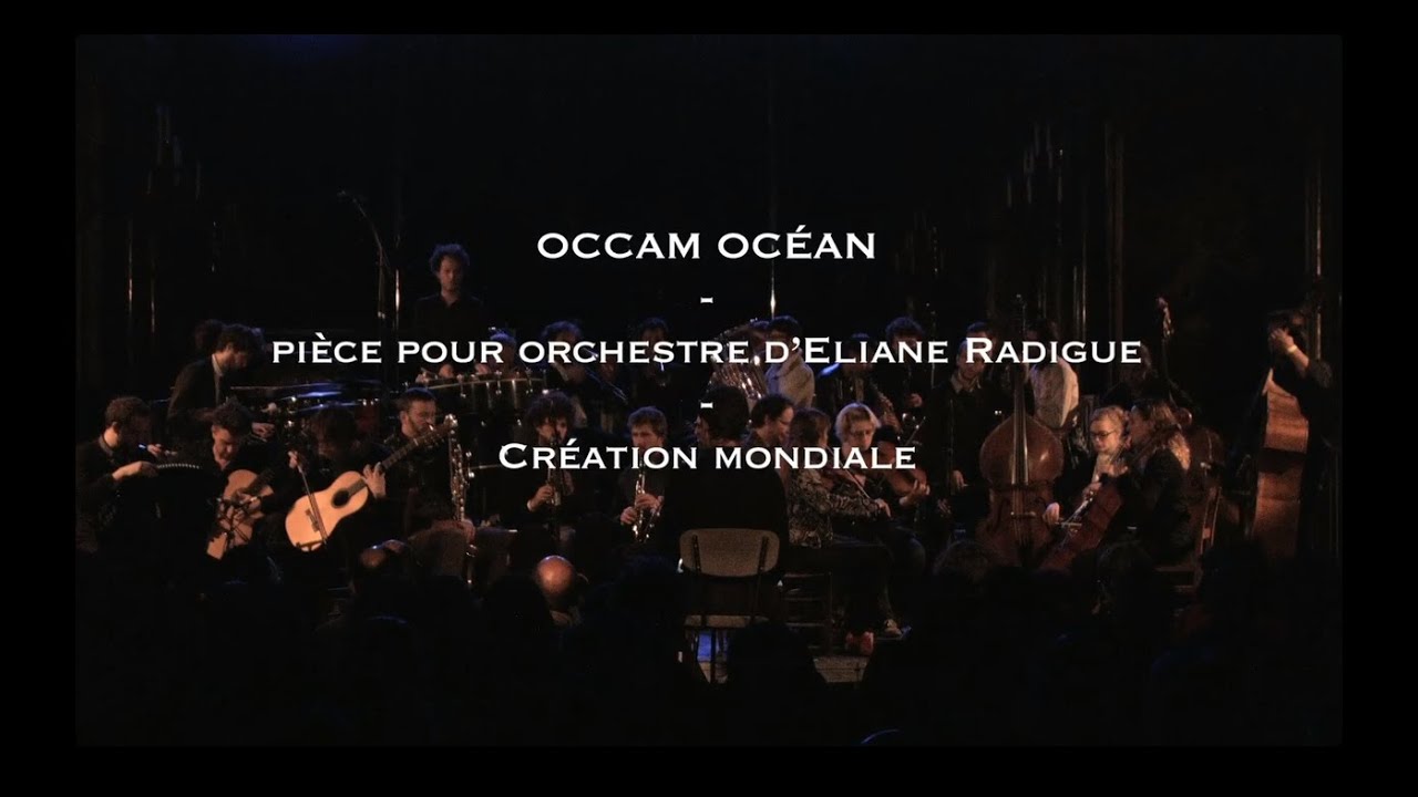 Eliane RADIGUE - OCCAM OCEAN - ONCEIM (excerpt)