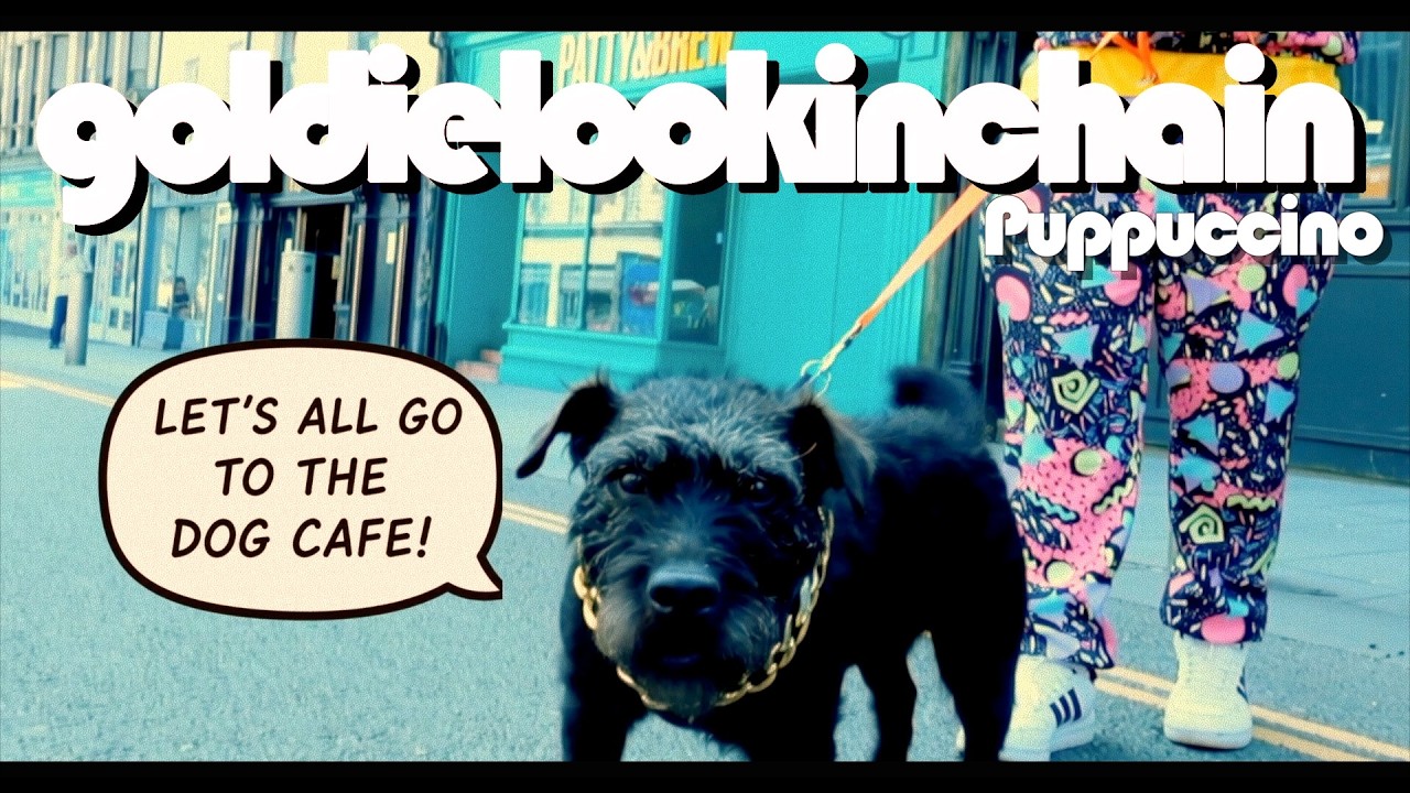 GOLDIE LOOKIN CHAIN - Puppuccino