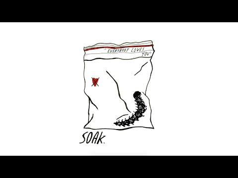 SOAK - Everybody Loves You (Animation)