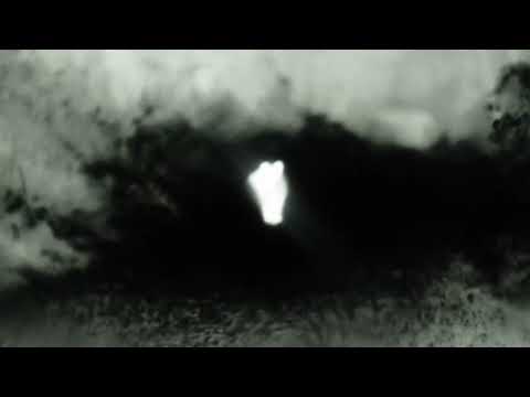 The Horrors - LA Runaway (Official Visualiser)