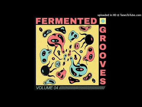 Josh Ludlow - Vikram (Edit) [Stereo Ferment]
