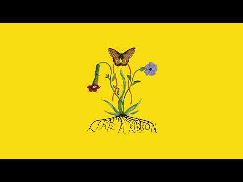 John Glacier - Don't Cover Me