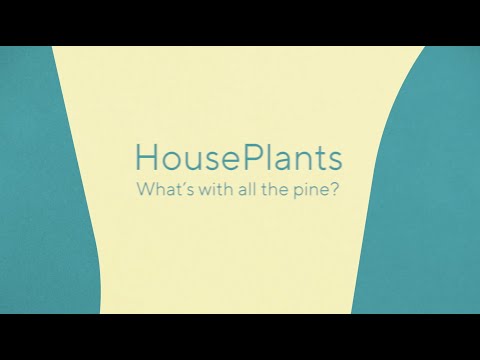 HousePlants - What's With All The Pine? (Official Audio)