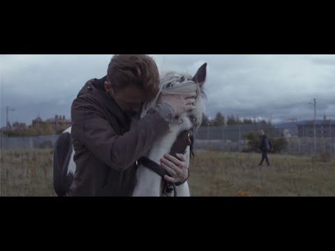 Lilla Vargen - Why Wait (Official Video)