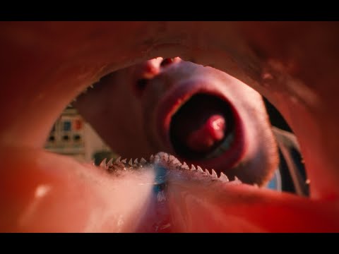chameleon - I Never Knew You Well (Official Video)