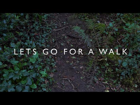 Rain On Tent  -  Lets Go For A Walk