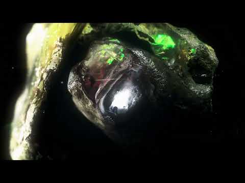 Max Cooper - Spectrum (Official video by Christian Stangl)