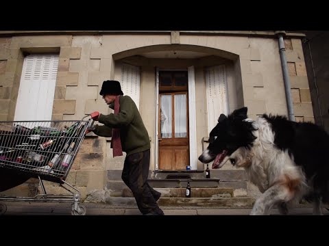 The Village Vandals - C'est La V (Official Video)
